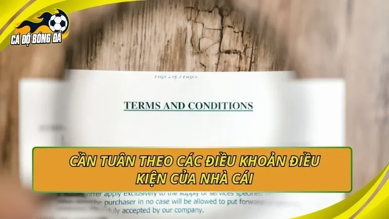 Cần tuân theo các điều khoản điều kiện của nhà cái