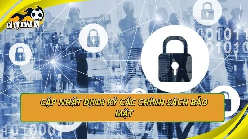 Cập nhật định kỳ các chính sách bảo mật