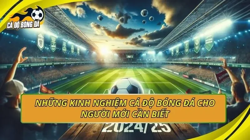 Những kinh nghiệm cá độ bóng đá cho người mới cần biết