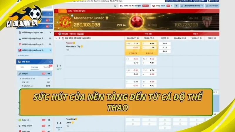 Sức hút của nền tảng đến từ cá độ thể thao
